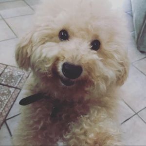 Meet your Posher, Seraphina